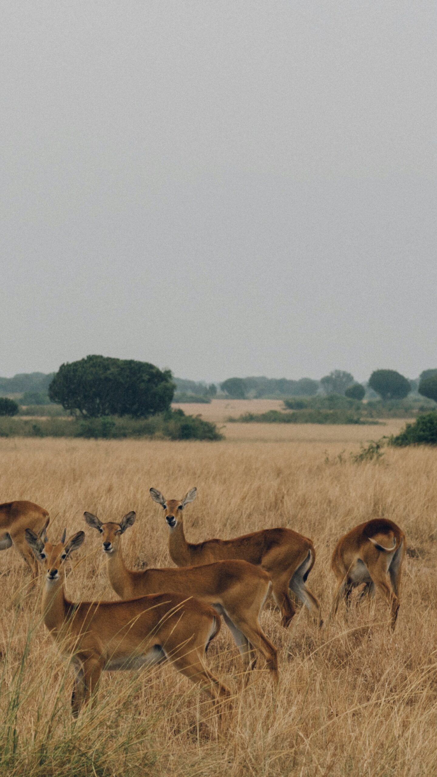 Uganda Karamoja 2019