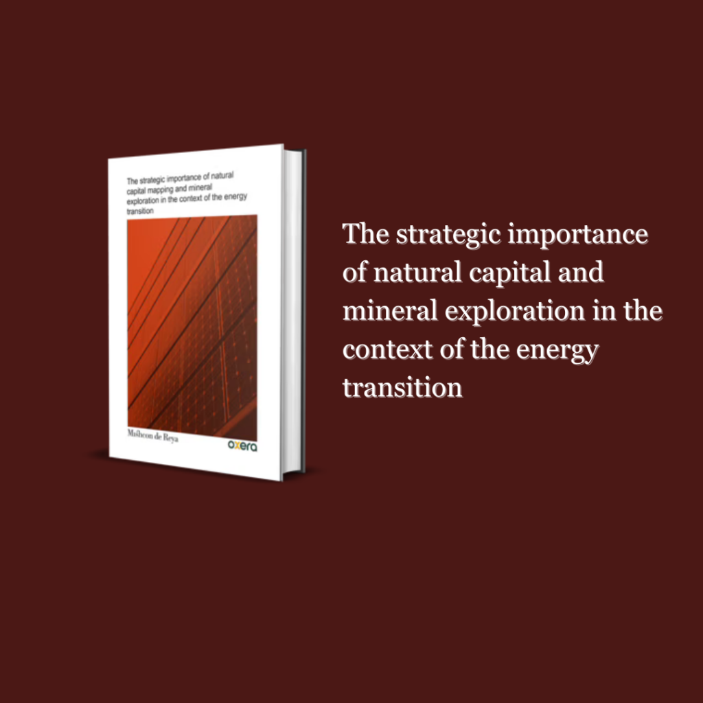 White Paper: The strategic importance of natural capital and mineral exploration in the context of the energy transition